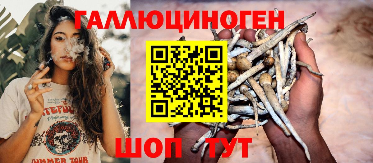 Галлюциногенные грибы Psilocybe  Галлюциногенные грибы Cubensis  Вход с VPN  Калач-на-Дону 